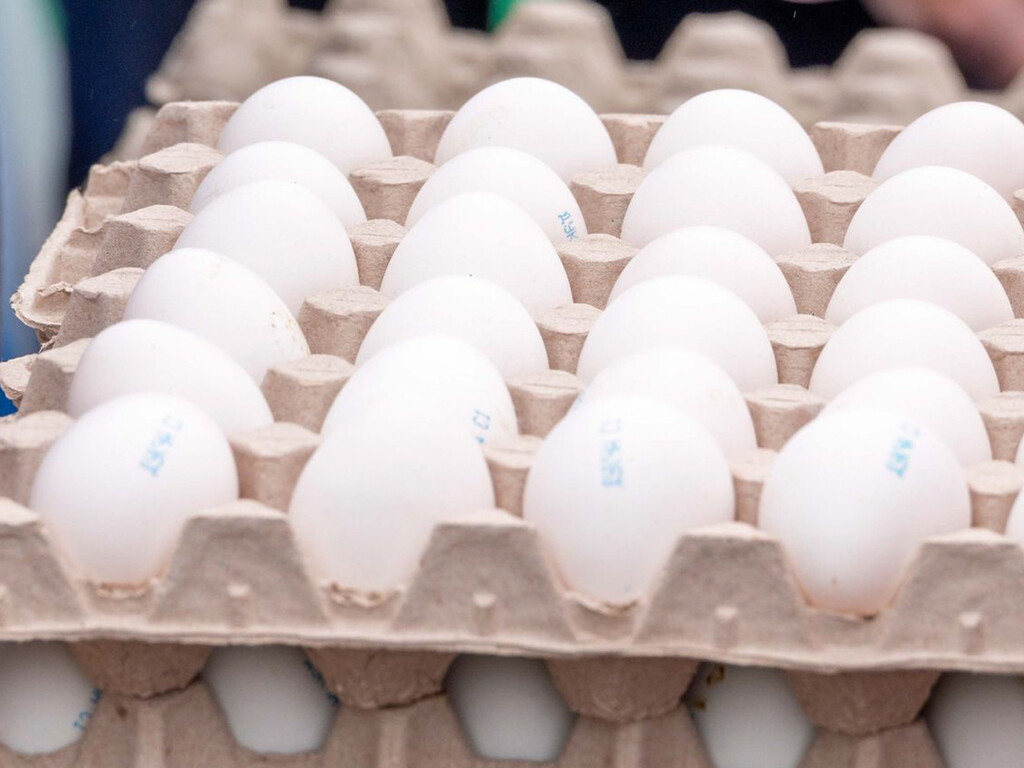 Comprar huevos con código 1 o código 0: ¿en qué se diferencian y cuál es mejor?