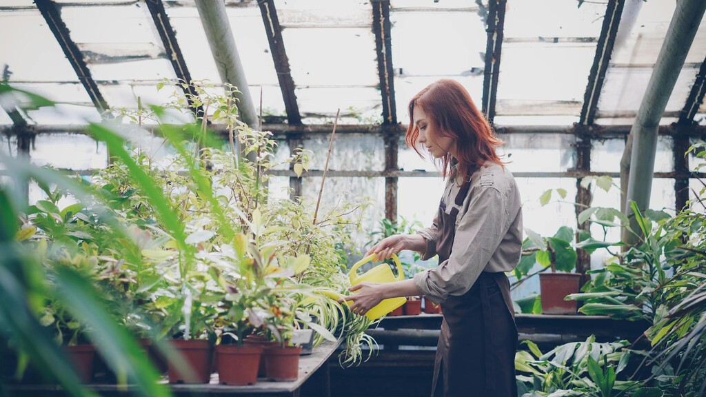 Montó un invernadero y hasta añadió una balsa. Invadió una autovía en la obra y el Supremo ha sido tajante