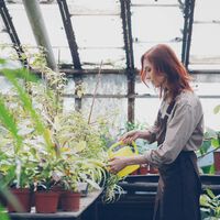 Montar un invernadero en casa le ha salido muy caro. No tuvo en cuenta que "pisaba" una carretera