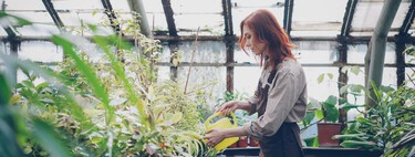 Montar un invernadero en casa le ha salido muy caro. No tuvo en cuenta que "pisaba" una carretera