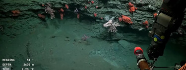 La corteza oceánica norteamericana es un destrozo muy alejado de la lámina limpia que visionaban los científicos 