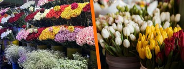 No es Ámsterdam, es la CDMX: el Mercado de Jamaica se llena de tulipanes y parece sacado de Europa