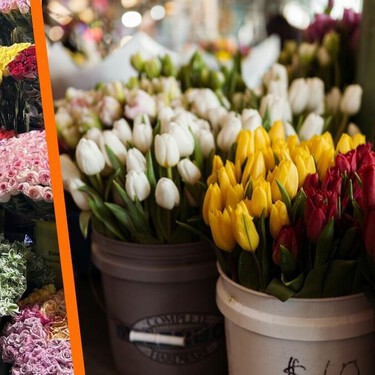 No es Ámsterdam, es la CDMX: el Mercado de Jamaica se llena de tulipanes y parece sacado de Europa