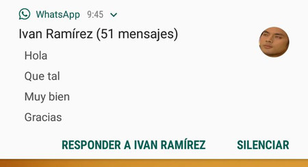 WhatsApp Beta te deja silenciar a los pesados directamente desde la notificación