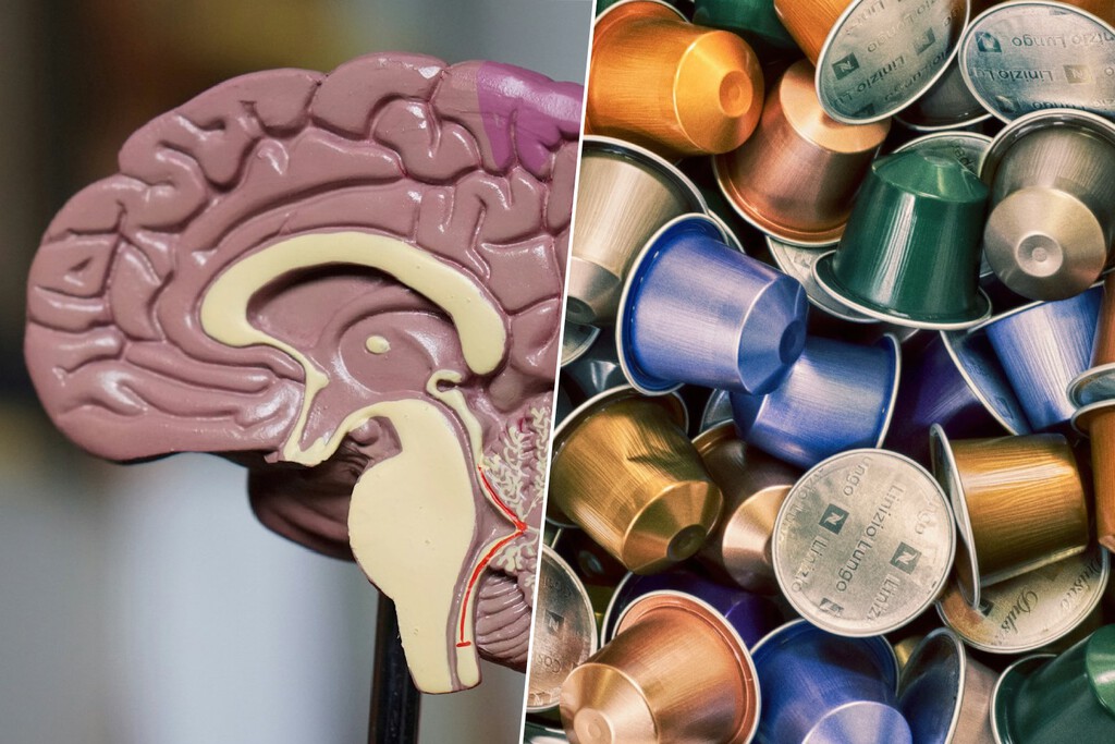 Ese olor a café recién hecho que tanto te gusta podría esconder una trampa: disruptores hormonales que engañan a tu organismo