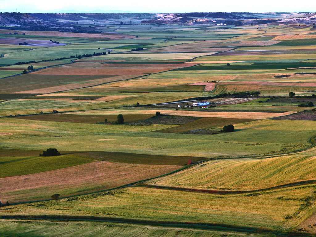 Aquí, a más de 300 kilómetros del mar, se 