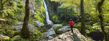 La ruta fácil de Asturias con cascadas, un bosque de cuento y el mejor pote casero para reponer fuerzas