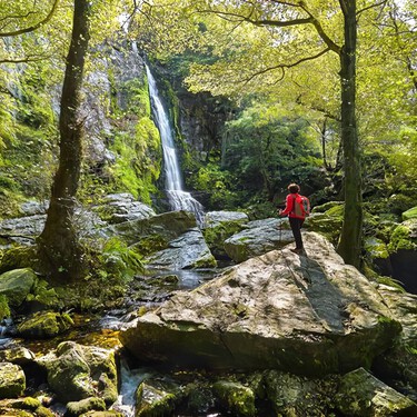 La ruta fácil de Asturias con cascadas que son Monumento Natural: un bosque de cuento y el mejor pote casero para reponer fuerzas 