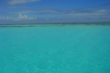 aguas cristalinas de zanzibar