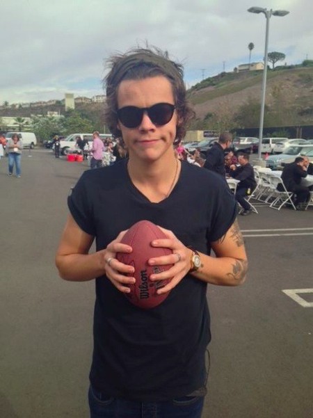 Harry Styles está enamoradérrimo de Kendall Jenner, pero de ahí a salir en la tele...