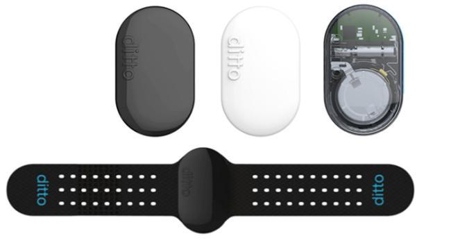 Ditto Wearable 2