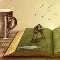 El micromecenazgo, crowdfunding o financiación colectiva para salvar una librería, el caso Delirio