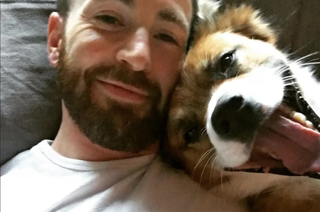 Chris Evans y su perro Dodger