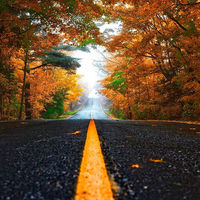 ¿Qué es el suelo pegajoso y cómo afecta a la brecha de género?