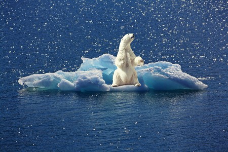 Estamos perdiendo la lucha contra el cambio climático, y aun hoy hay cosas que nadie se ha preguntado