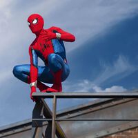 Los cosplayers son el alma de cualquier convención de cultura pop, pero hay un sitio donde están prohibidísimos: Disneyland