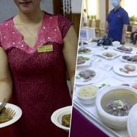 Está tão quente na Coreia do Norte que Kim Jong-un supostamente recomendou um prato nacional para enfrentar a onda de calor: sopa de carne de cachorro 