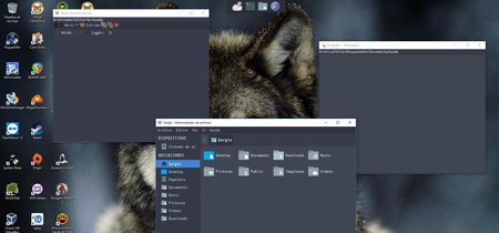 Swan, el entorno gráfico inspirado en Linux que puedes ejecutar en Windows 10