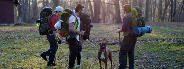 Cómo hacer el Camino de Santiago con perro: preparativos, consejos y entrenamiento 