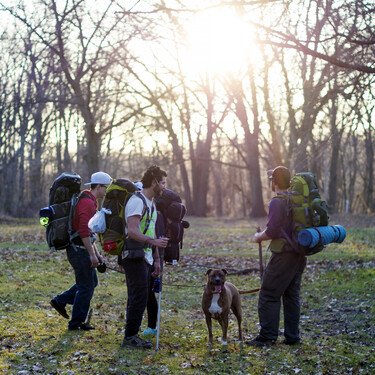Cómo hacer el Camino de Santiago con perro: preparativos, consejos y entrenamiento 