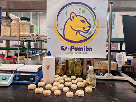 Es Pumita