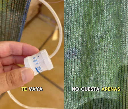 Plantas Verano