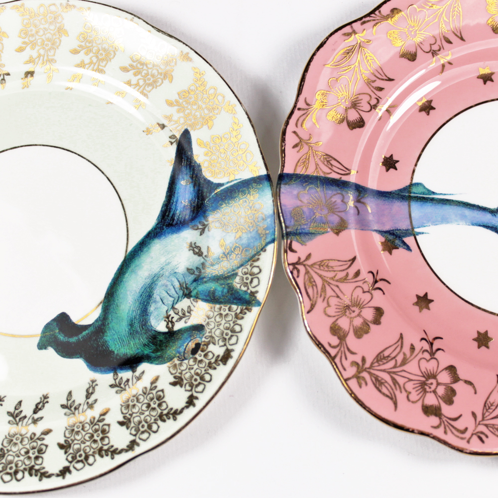 Foto de Yvonne Ellen (1/28)