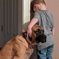 Le castigaron contra la pared, y su perro fue el único en darse cuenta de la necesidad de acompañamiento emocional del niño