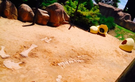 Paleosenda Dinópolis