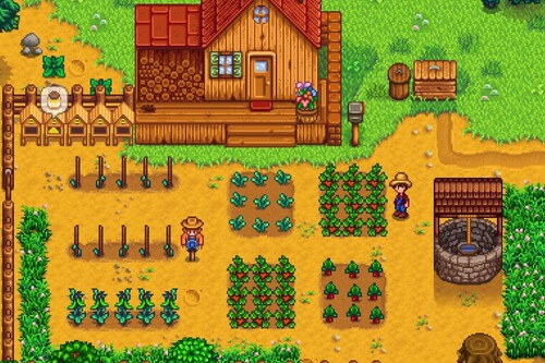 Stardew Valley