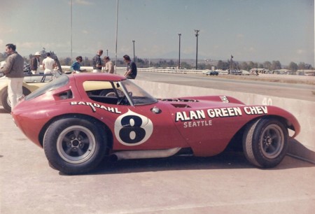 Cheetah Alan Green 7