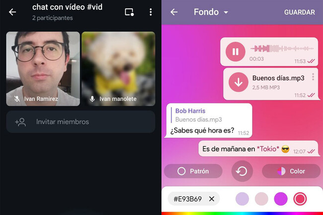 Telegramvideo