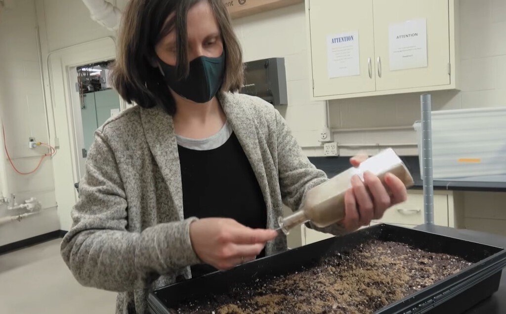 Este experimento arrancó hace 145 años y no finalizará hasta 2100. Lo único que necesita: científicos 