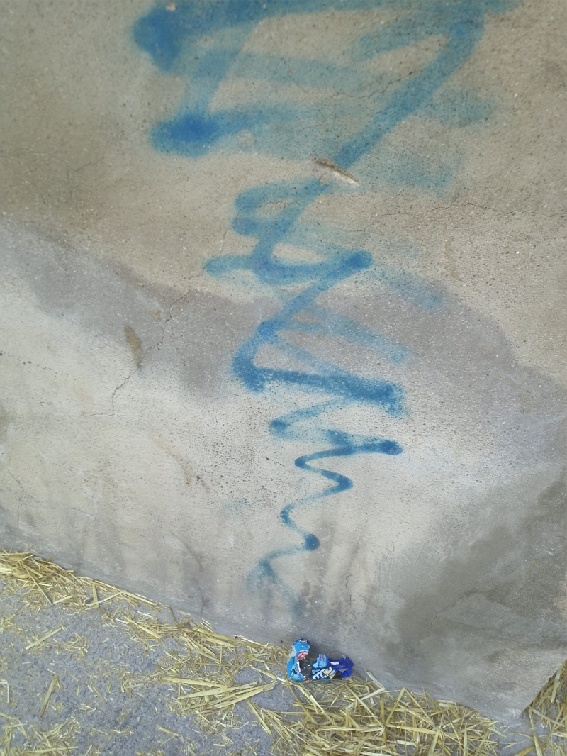 Foto de Muestras LG Optimus 2X (8/8)