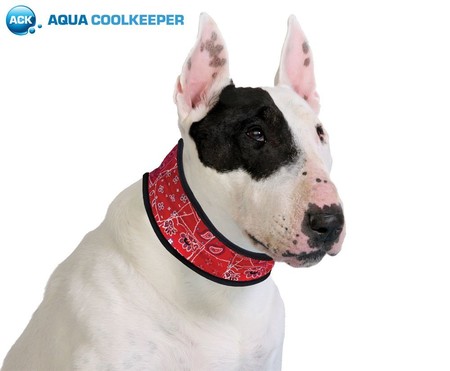 Bandana de refrigeración para perros desde sólo 11,99 euros en Amazon ¡Una forma nueva de refrescar a tu mascota!