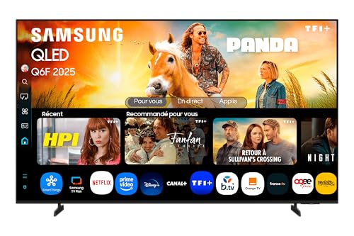 Samsung TV 65 Pulgadas QLED Q6F 4K 