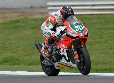 Sylvain Gintoli, Misano 2014