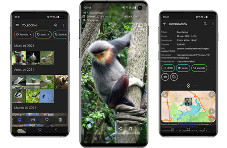Aves Galería es una aplicación de galería gratis, completa y muy personalizable
