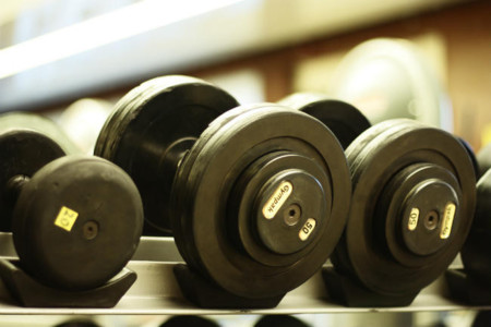 La importancia de entrenar equitativa e igualitariamente todos los grupos musculares