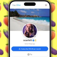 La tecnológica que más dinero por trabajador genera no es Apple ni NVIDIA ni Amazon. Es una boutique porno: OnlyFans