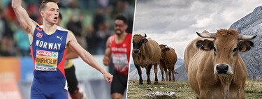 Enquanto se preparam para competir na China, os atletas noruegueses enfrentam um inimigo invisível: o doping na carne 