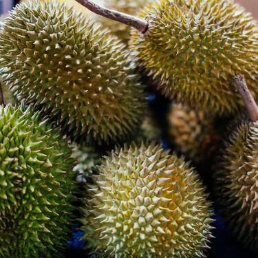 Huele fatal, pero muchos la consideran un manjar: la fruta prohibida en hoteles y transporte público