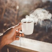 Ciência descobre o que café realmente faz com nosso intestino e cérebro — é melhor do que pensávamos 