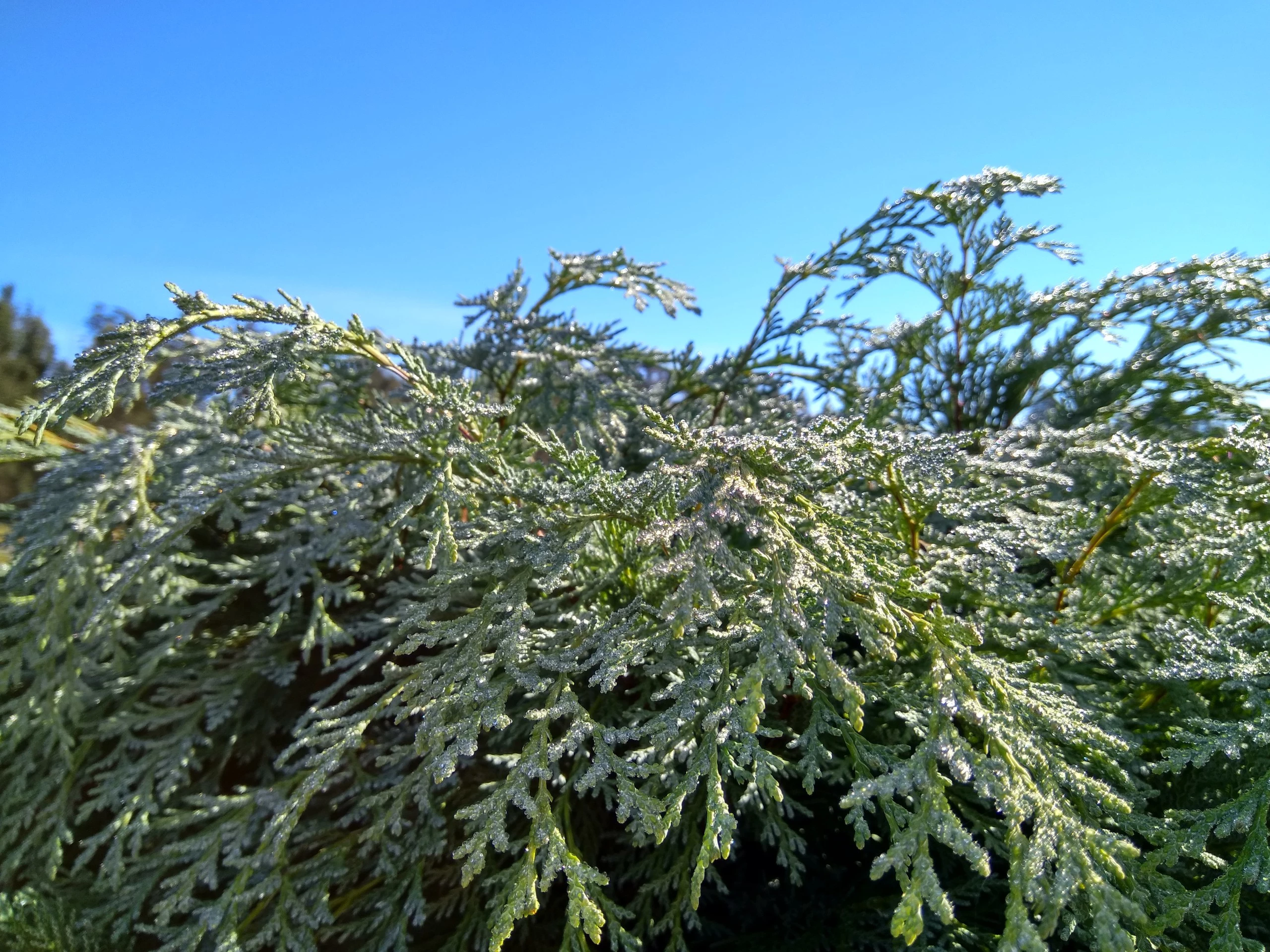 Foto de Xiaomi Mi Max, cámara (1/22)