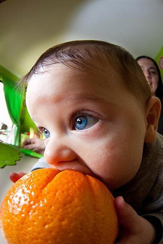 Naranjas, ¿enteras o exprimidas?