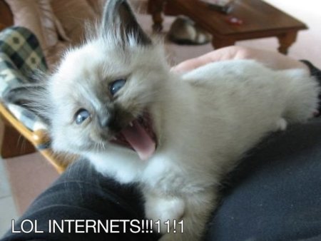 Internet is a series of blogs (LIV)