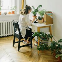 La psicología dice que tener plantas dentro de tu casa puede hacer mucho por tu salud mental: estos son los beneficios