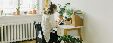 La psicología dice que tener plantas dentro de tu casa puede hacer mucho por tu salud mental: estos son los beneficios
