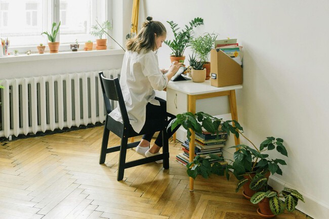 Plantas En Casa Interior