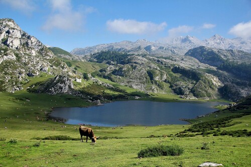Ruta por Asturias en autocaravana: los mejores recorridos y las mejores áreas para pernoctar